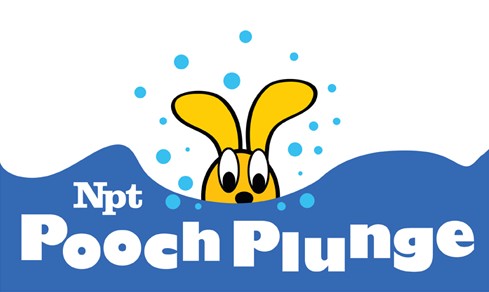 Pooch Plunge Postponed